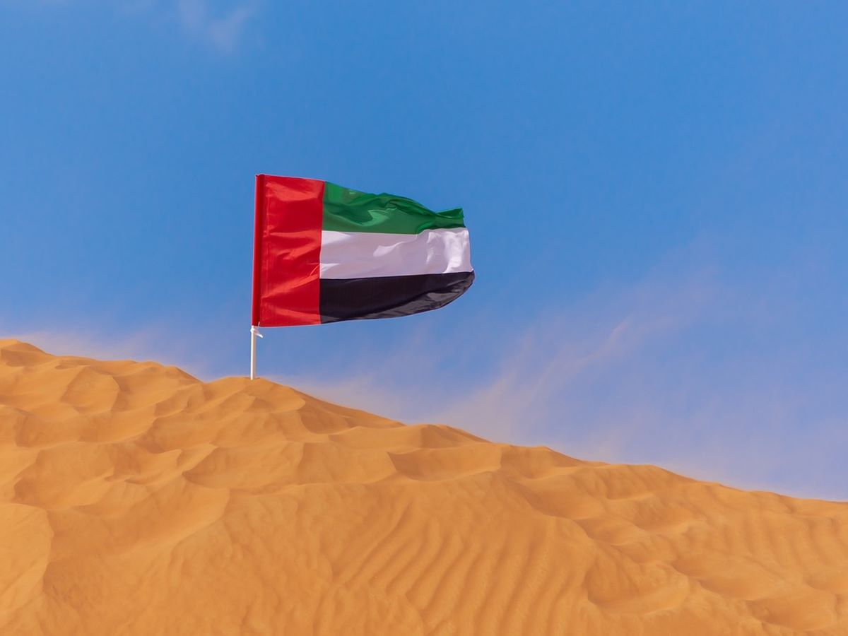 البضائع المعفاة من الرسوم الجمركية البضائع المعفاة من الرسوم الجمركية
